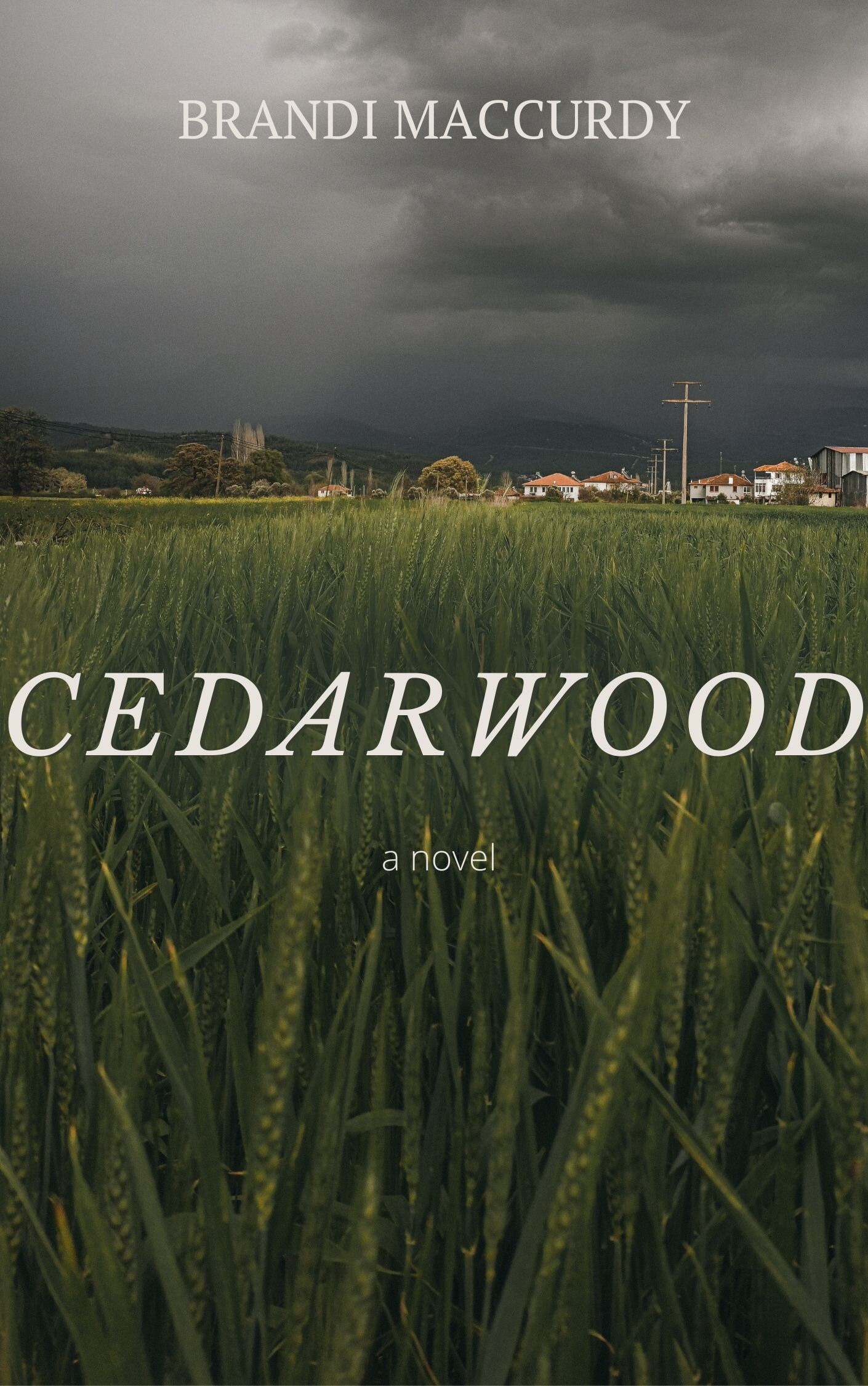 01a9c97b-c360-4455-8e56-4e4ca8cab187